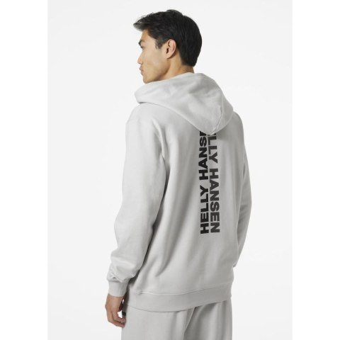 Bluza Helly Hansen Core Graphic Sweat Hoodie M 53924 825 Helly Hansen