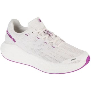 Buty do biegania Salomon Aero Glide 3 M L47756500 Salomon