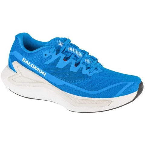 Buty do biegania Salomon DRX Bliss 2 M L47745300 Salomon