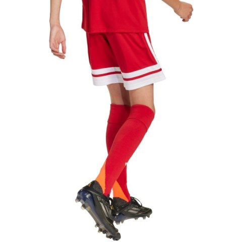 Spodenki adidas Squadra 25 Jr JJ2416 Adidas