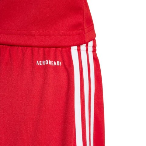 Spodenki adidas Squadra 25 Jr JJ2416 Adidas