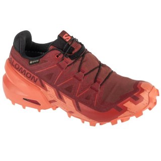 Buty do biegania Salomon Speedcross 6 GTX W 475843 Salomon