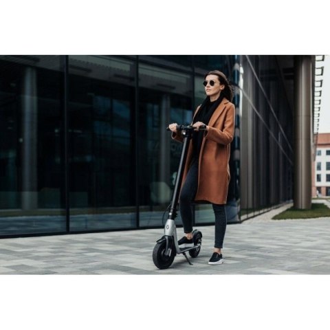 Hulajnoga Scooter Plus JSP-120-0 Scooter
