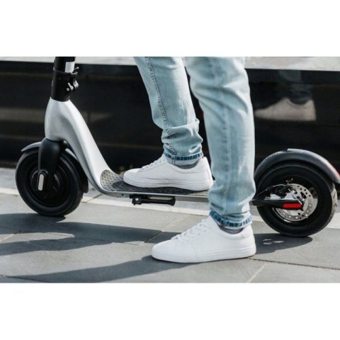 Hulajnoga Scooter Plus JSP-120-0 Scooter