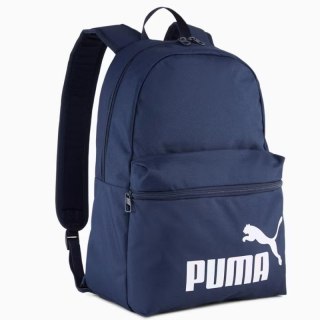 Pleack Puma Phase 091164-02 Puma