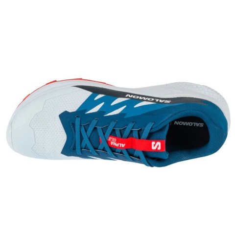 Buty do biegania Salomon Alphaglide Ballad M L47724300 Salomon