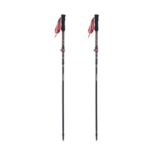 Kije trekkingowe Viking Kettera Pro Lady Trekking 610-25-7713-0946-UNI Viking