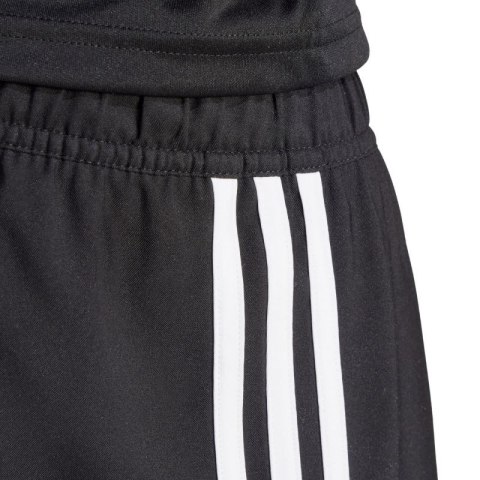 Spodenki adidas Tastigo 25 M JN7155 Adidas