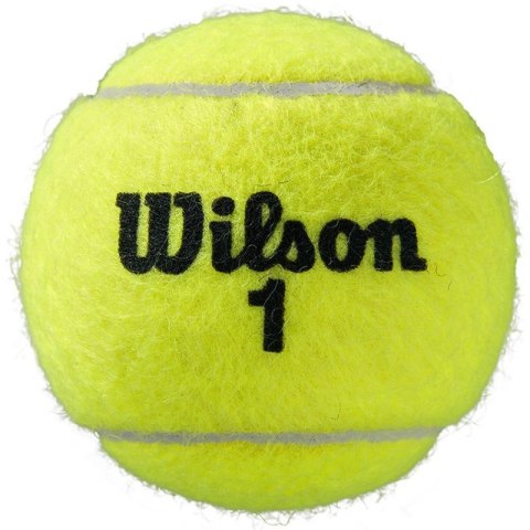 Piłki do tenisa ziemnego Wilson Roland Garros All Court 3 szt. WRT126400 Wilson