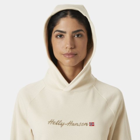 Bluza Helly Hansen Core Graphic Hoodie W 54239 034 Helly Hansen