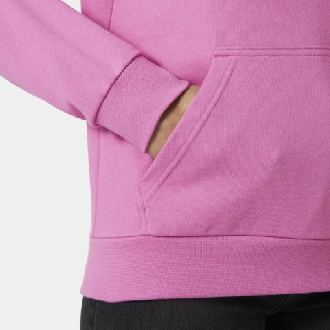 Bluza Helly Hansen Core Graphic Hoodie W 54239 089 Helly Hansen