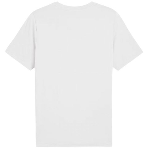 Koszulka Puma Graphics Wording Tee M 684825 02 Puma