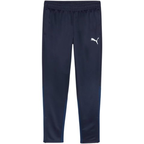 Spodnie Puma Team Goal Training M 658639 06 Puma