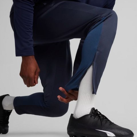 Spodnie Puma Team Goal Training M 658639 06 Puma