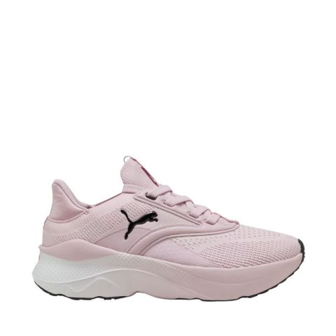 Buty do biegania Puma Softride Mayve W 310160 17 Puma