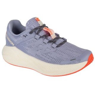 Buty do biegania Salomon Aero Glide 3 W L47759400 Salomon