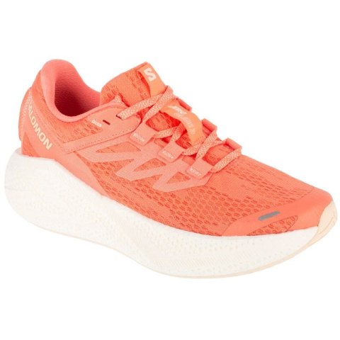 Buty do biegania Salomon Aero Glide 3 W L47810700 Salomon