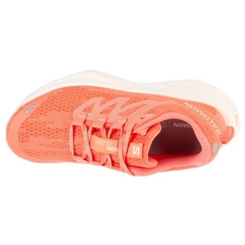 Buty do biegania Salomon Aero Glide 3 W L47810700 Salomon