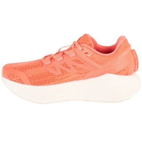 Buty do biegania Salomon Aero Glide 3 W L47810700 Salomon