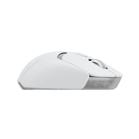 Logitech G G309 myszka Gaming Po prawej stronie RF Wireless + Bluetooth Optyczny 2560 DPI
