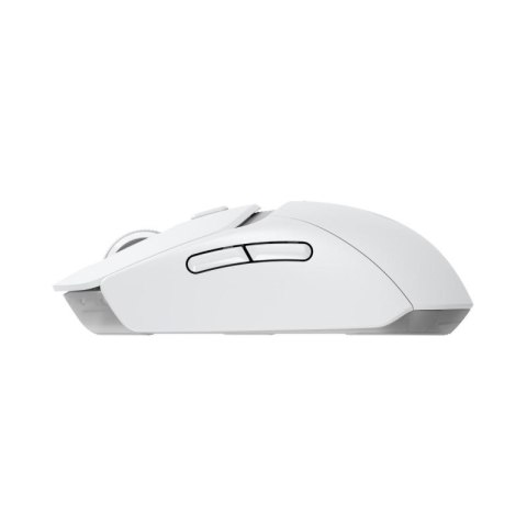 Logitech G G309 myszka Gaming Po prawej stronie RF Wireless + Bluetooth Optyczny 2560 DPI