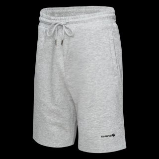Męskie Spodenki ICHIRO SHORTS