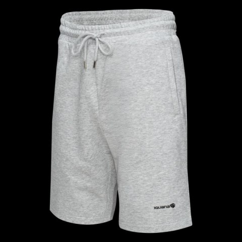 Męskie Spodenki ICHIRO SHORTS