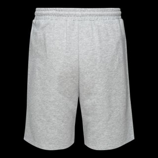 Męskie Spodenki ICHIRO SHORTS