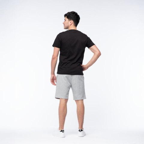 Męskie Spodenki ICHIRO SHORTS