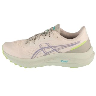 Buty Asics GT-1000 13 TR M 1011C043-300 Asics