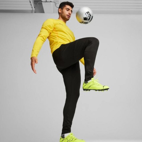 Spodnie Puma Team Goal Slim Training M 659037 03 Puma