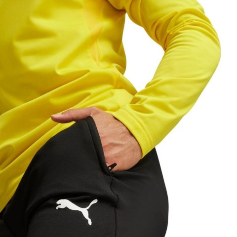 Spodnie Puma Team Goal Slim Training M 659037 03 Puma