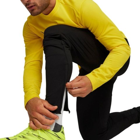 Spodnie Puma Team Goal Slim Training M 659037 03 Puma