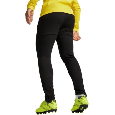 Spodnie Puma Team Goal Slim Training M 659037 03 Puma