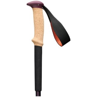 Kije trekkingowe Black Diamond Trail Cork Trekking Poles Fig