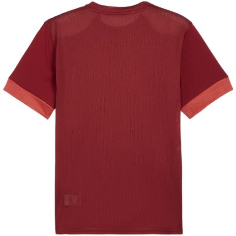 Koszulka męska Puma teamGoal Matchday Jersey bordowa 705747 09 Puma