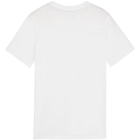Koszulka Puma Team Goal Casuals Tee Jr 658616 04 Puma