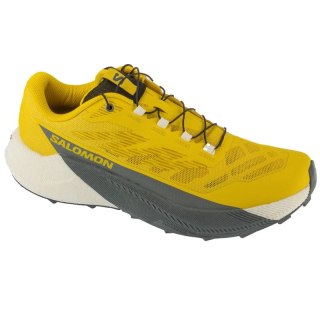 Salomon Pulsar L47973200 Żółte 41 1/3 Salomon