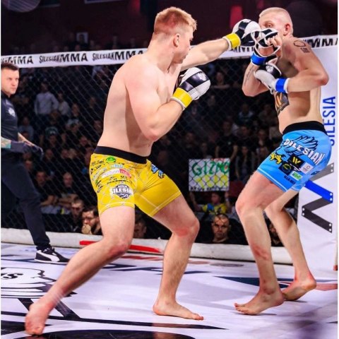 Rękawice MMAsparingowe S/M - Edge - Valor Series