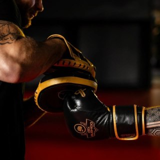 Rękawice bokserskie wielowarstwowe - ProFighter Gold - Legacy Series