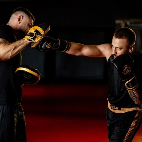 Rękawice bokserskie wielowarstwowe - ProFighter Gold - Legacy Series