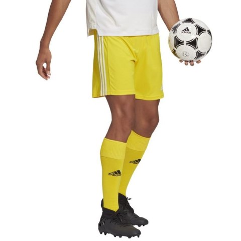 Spodenki adidas Squadra 21 Short M GN5772 Adidas