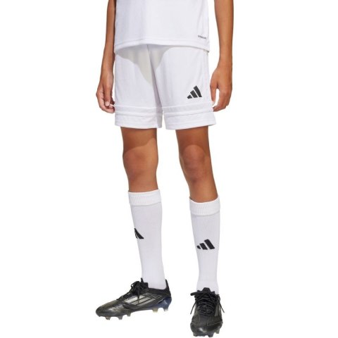 Spodenki adidas Squadra 25 Jr JJ2423 Adidas