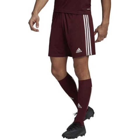 Spodenki adidas Squadra 21 Short M GN8083 Adidas