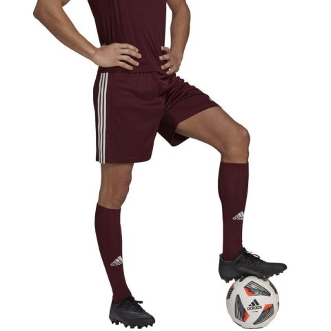 Spodenki adidas Squadra 21 Short M GN8083 Adidas