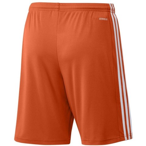 Spodenki adidas Squadra 21 Short M GN8084 Adidas