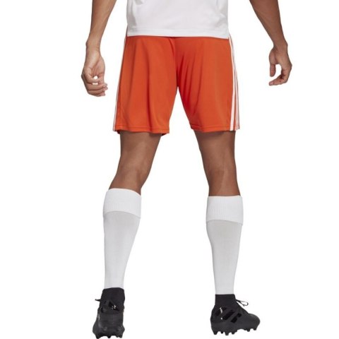 Spodenki adidas Squadra 21 Short M GN8084 Adidas