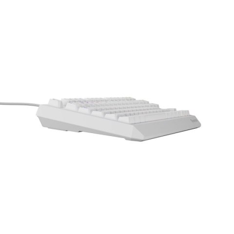 GENESIS Thor 230 TKL klawiatura USB + RF QWERTY