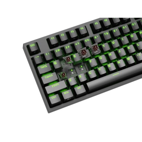 KLAWIATURA DLA GRACZY GENESIS THOR 404 TKL US PODŚWIETLENIE RGB MECHANICZNA CZARNA KAILH BOX BROWN