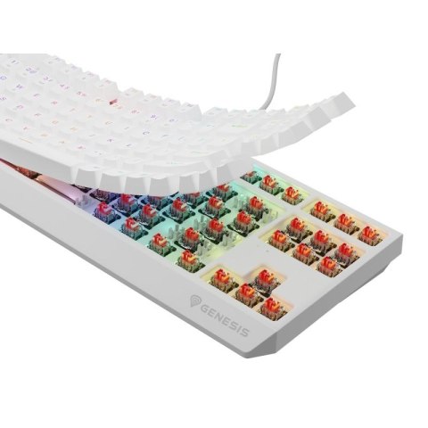 Klawiatura GENESIS Thor 230 TKL Gaming USB QWERTY US English Biały
